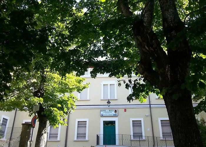 Il Duca Del Montefeltro